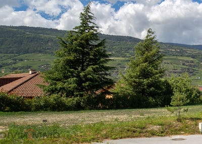/international/ch/rechy-chalais-valais-310100905468/