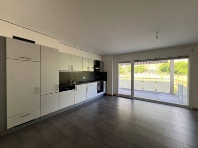 /international/ch/avenue-de-france-45-monthey-valais-310108757347/