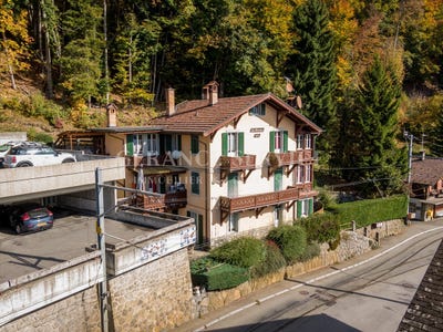 /international/ch/arveyes-arveyes-vaud-310100904060/
