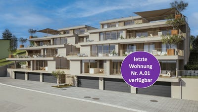 /international/ch/gehrenstrasse-erlinsbach-aargau-310110282940/