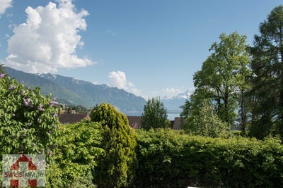 /international/ch/blonay-vaud-310107320856/
