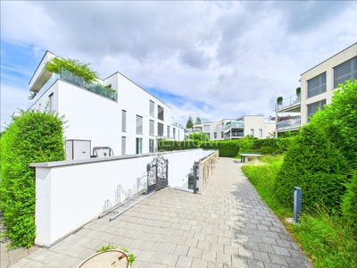 /international/ch/kloten-zurich-310101443344/