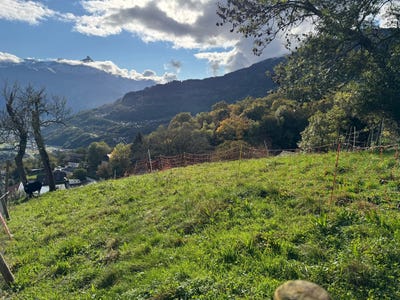 /international/ch/collombey-valais-310095252115/