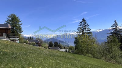/international/ch/chemin-des-melezes-saviese-valais-310109076098/?lang=it