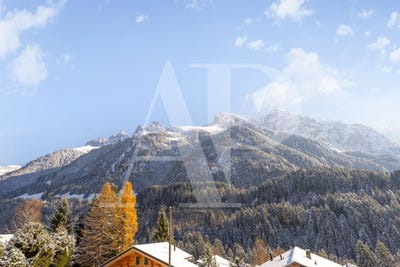 /international/ch/champery-valais-310106966523/