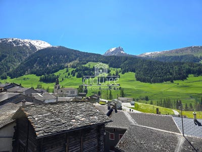 /international/ch/rue-du-chateau-15-liddes-valais-310100909018/