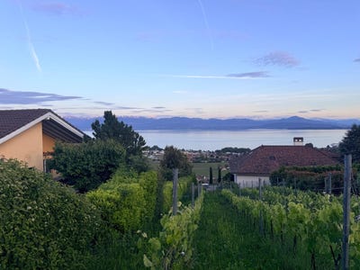 /international/ch/mont-sur-rolle-vaud-310108318804/