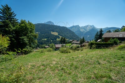 /international/ch/chemin-de-seurenex-gryon-vaud-310100903511/