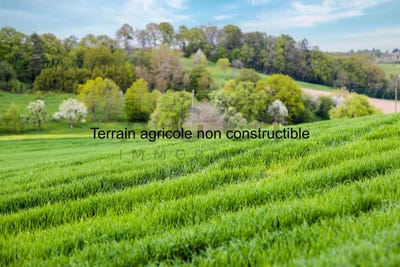 /international/ch/bernex-geneva-310103583445/