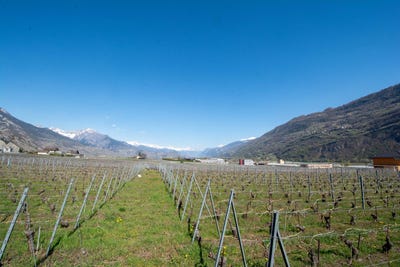 /international/ch/saint-pierre-de-clages-st-pierre-de-clages-valais-310104491307/
