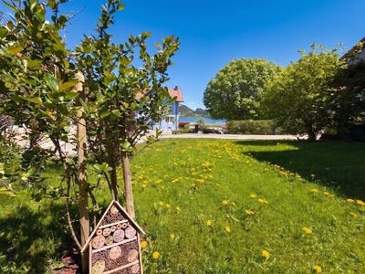 /international/ch/le-lieu-vaud-310110348114/