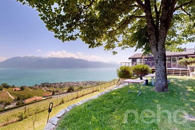 /international/ch/grandvaux-grandvaux-vaud-310109045776/