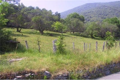/international/ch/sessa-ticino-310097820837/