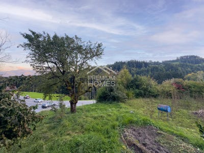 /international/ch/berneck-st-gallen-310105809750/