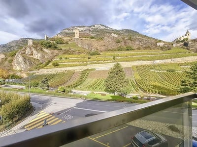 /international/ch/saillon-valais-310101132710/