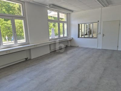 /international/ch/ruti-zh-zurich-canton-310108562894/