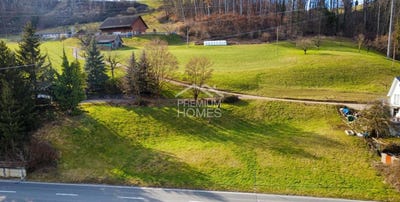 /international/ch/holstein-basel-landschaft-310108456032/