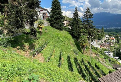 /international/ch/cugnasco-ticino-310100932678/?lang=en