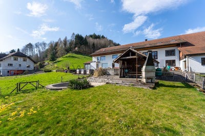 /international/ch/attiswil-canton-of-bern-310107410530/