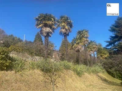 /international/ch/bidogno-ticino-310101561569/
