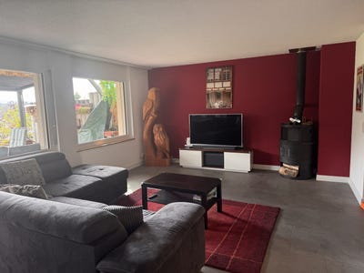 /international/ch/grunen-canton-of-bern-310107616786/