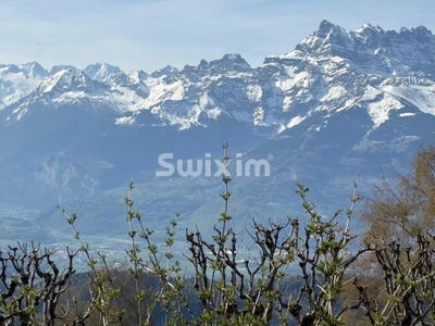 /international/ch/leysin-vaud-310107702061/