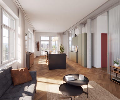 /international/ch/ringkengasschen-16-schaffhausen-canton-of-schaffhausen-310100910143/