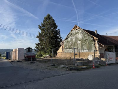 /international/ch/grand-borgeaud-cronay-vaud-310108668030/