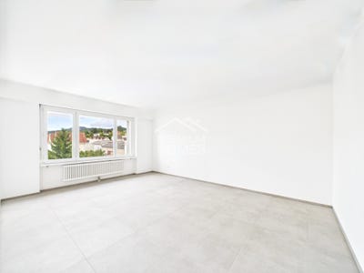 /international/ch/grenchen-canton-of-fribourg-310107217557/