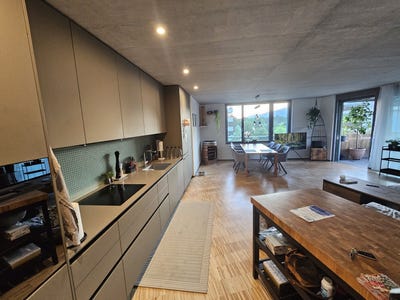 /international/ch/zuchwil-canton-of-solothurn-310101078364/