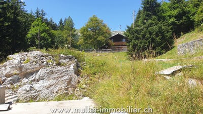/international/ch/saviese-valais-310101077874/?lang=en
