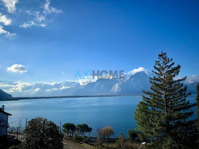 /international/ch/rue-de-bonivard-1-veytaux-vaud-310103554774/