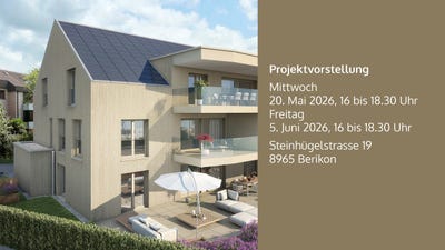 /international/ch/steinhugelstrasse-19-berikon-aargau-310107560323/