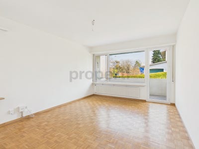 /international/ch/allschwil-lucerne-310106688135/