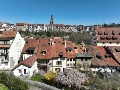 /international/ch/fribourg-canton-of-fribourg-310100908152/