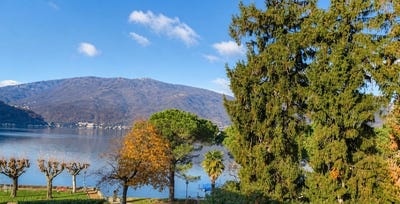 /international/ch/canton-ticino-ticino-310108214262/