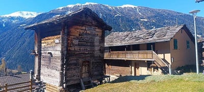 /international/ch/liez-liez-st-martin-valais-310108452900/
