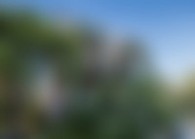 /international/ch/montreux-vaud-310107941803/