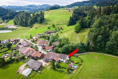 /international/ch/saland-zurich-310108895293/