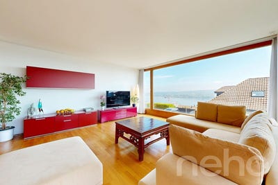 /international/ch/horgen-horgen-zurich-310108210131/