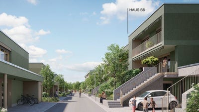 /international/ch/gemsacker-bockten-basel-landschaft-310104171124/