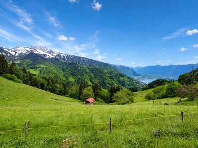 /international/ch/au-coeur-des-narcisses-chamby-vaud-310108319971/