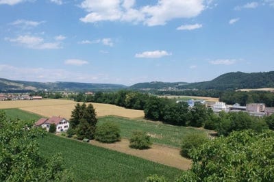 /international/ch/schlossweg-veltheim-ag-aargau-310108589649/