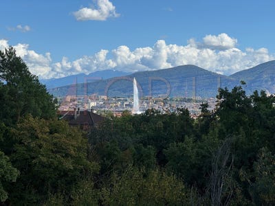 /international/ch/rue-de-vermont-geneve-geneva-310100906735/