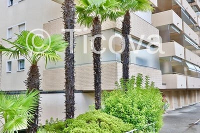 /international/ch/ascona-ticino-310103454679/