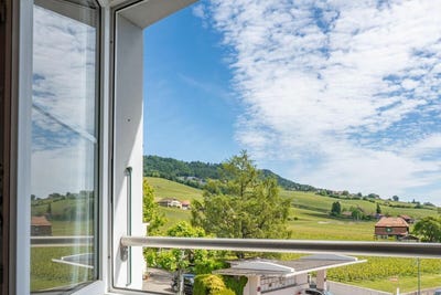 /international/ch/mont-sur-rolle-vaud-310108367783/