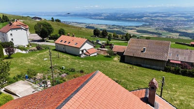 /international/ch/bullet-vaud-310101129422/