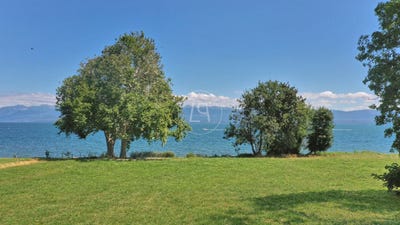 /international/ch/rolle-vaud-310108668005/
