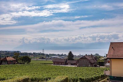 /international/ch/mont-sur-rolle-vaud-310110425438/