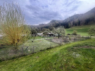 /international/ch/krauchthal-canton-of-bern-310108050609/